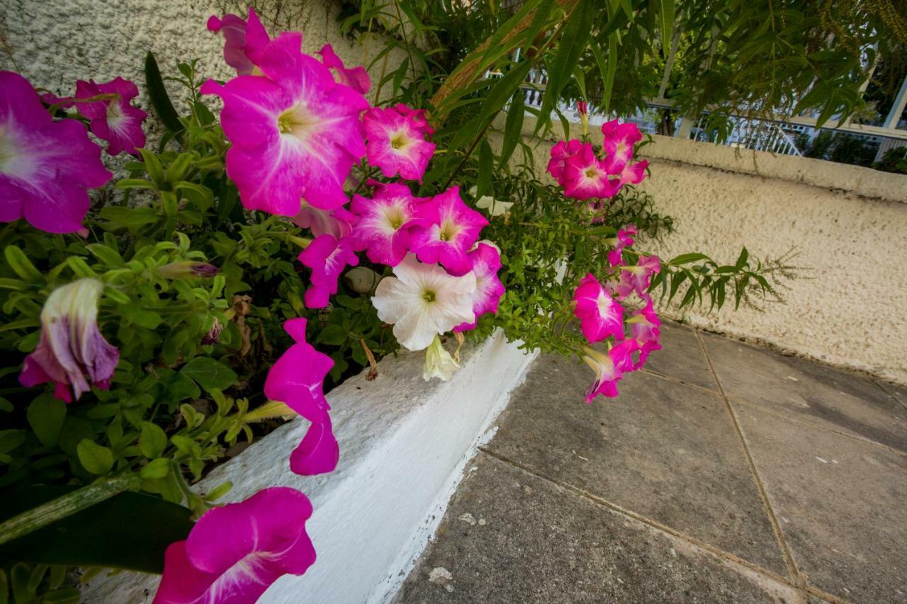 Marietta'S Townhouse Villa Argostolion Exterior foto