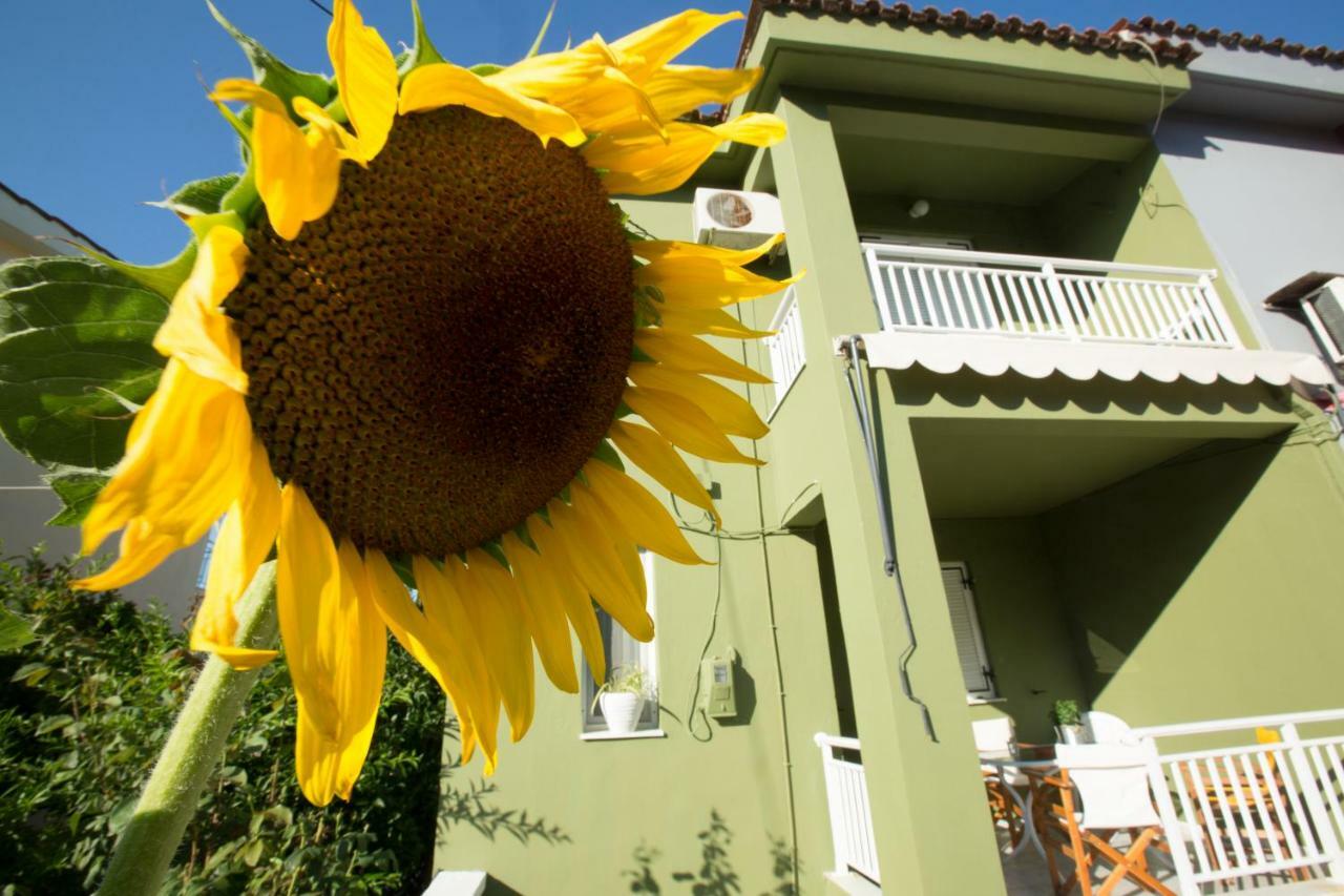 Marietta'S Townhouse Villa Argostolion Exterior foto